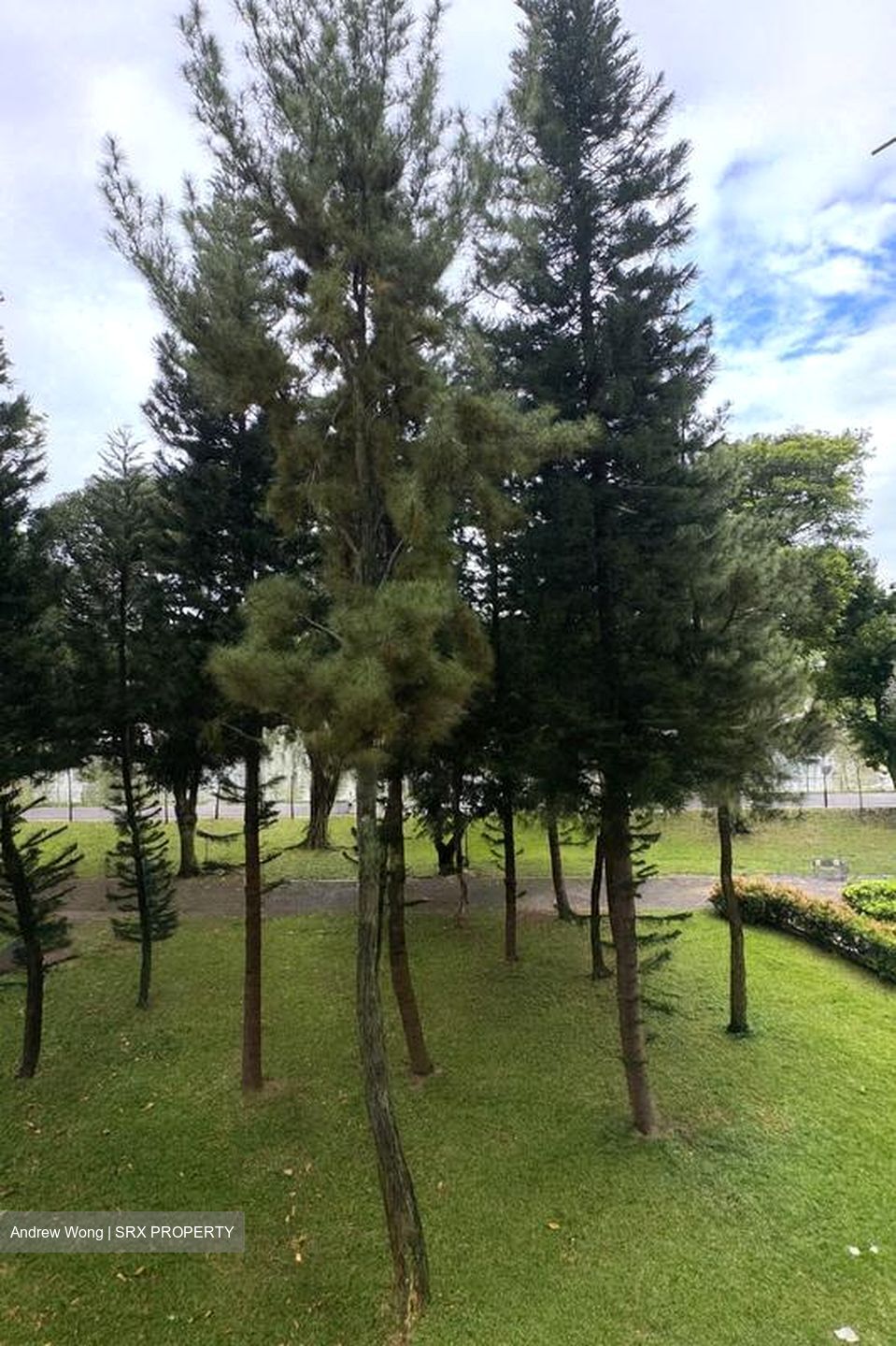 Blk 405 Pandan Gardens (Jurong East), HDB 5 Rooms #571081341